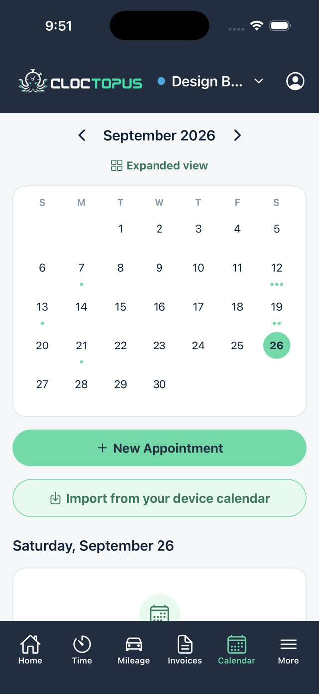 Calendar screen in Cloctopus, showing a month view with appointments